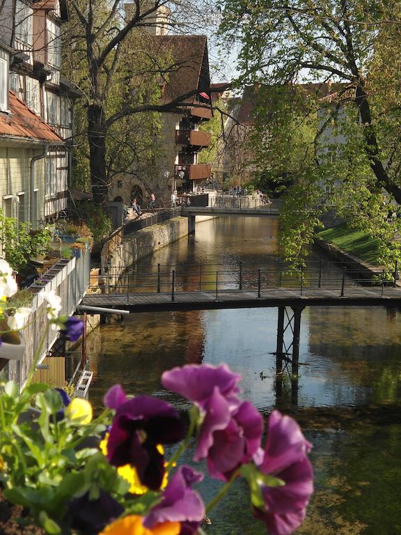Altstadtapartment An Der Kraemerbruecke Erfurt Bagian luar foto